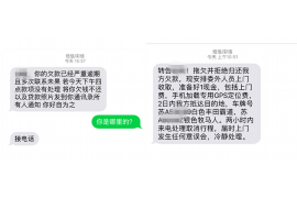 灵宝为什么选择专业追讨公司来处理您的债务纠纷？